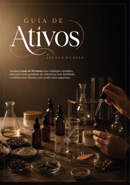 Capa do Guia de Ativos