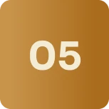 Icone 5