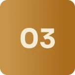 Icone 3