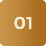 Icone 1