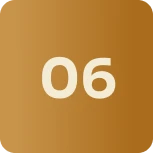 Icone 6